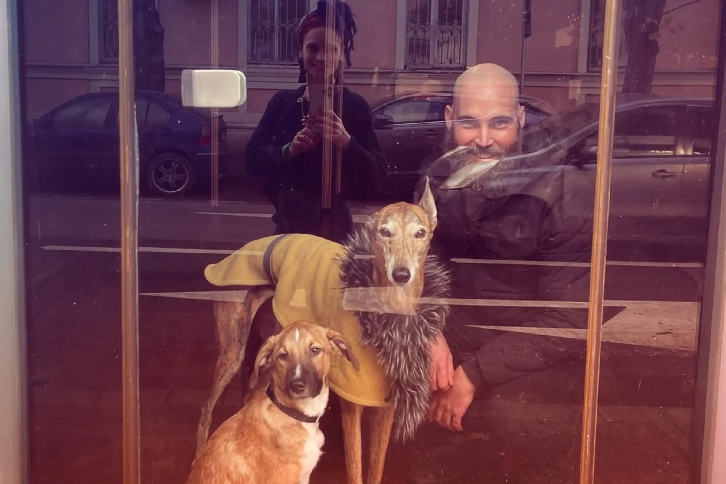 Danica, David and their three dogs seen through the window of the original FOMO micro-cinema, the street reflected in the glass